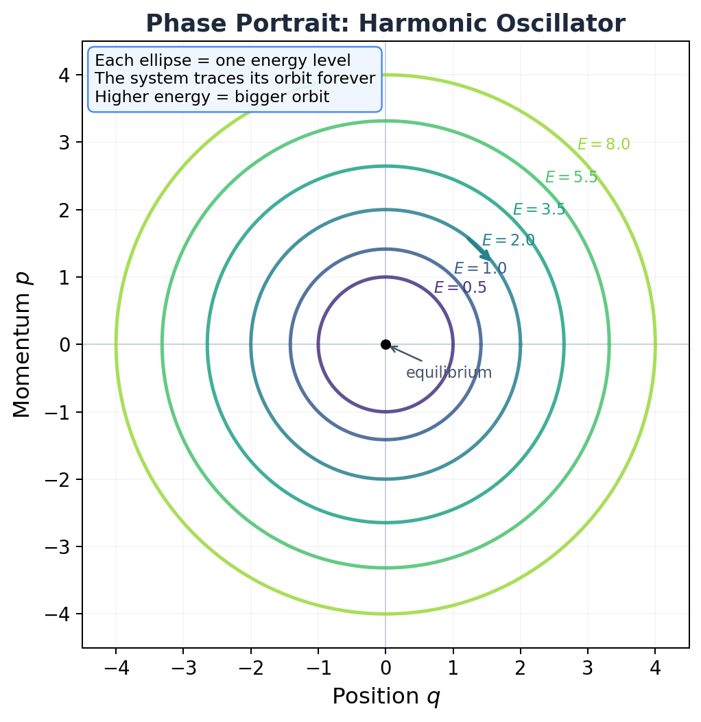Harmonic oscillator phase portrait
